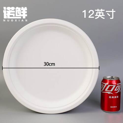 一次性纸盘子幼儿园手工DIY绘画画蛋糕烧烤餐盘纸碟子大纸盘12寸