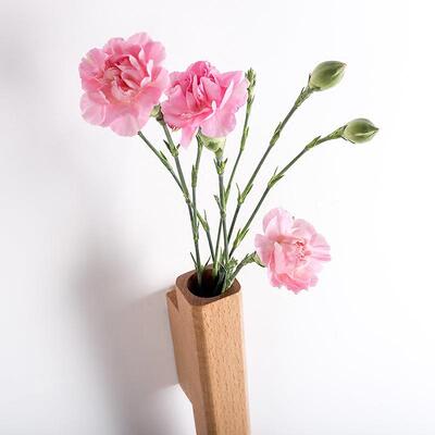 墙面装饰花插墙关壁实植木日式玄壁挂品00216物饰水培挂件木质花