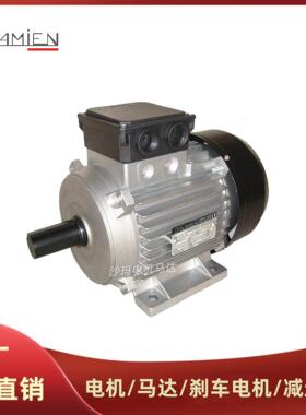 意大利DAMIEN电机马达T56A4 T 63B4 71 80 90 100 112 132M~200L