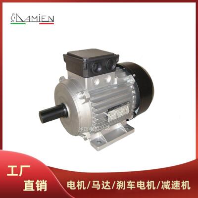意大利DAMIEN电机马达T56A4 T 63B4 71 80 90 100 112 132M~200L