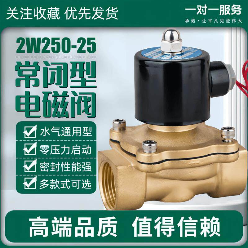 常闭铜电磁阀水阀气阀2W250-25电磁开关阀DN25控制阀AC220V DC24V