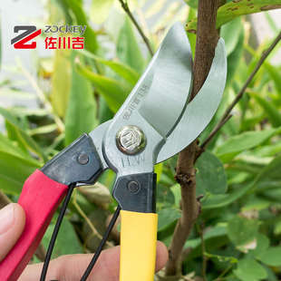 佐川吉138台湾剪定铗果树剪花园修枝剪复古经典 耐用园艺园林剪 款