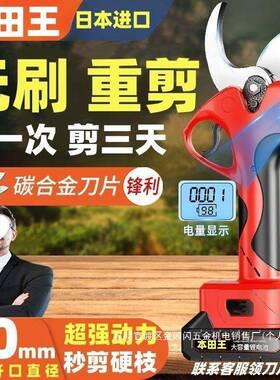 剪厂家德国进口动修电枝剪果树剪充电粗式园艺bnm10048园林枝硬枝