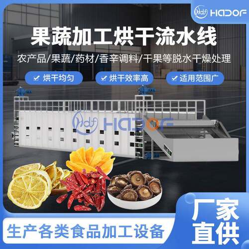 脱水蔬菜网带式烘干机山楂柠檬片履带式烘干设备食品机械