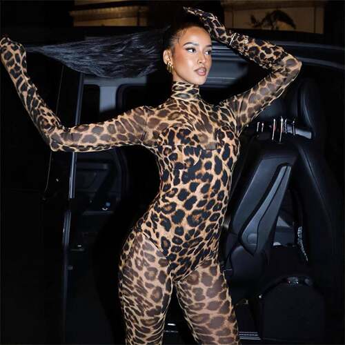 Women's Leopard Print Mesh Bodysuit Sheer Long Sleeve High