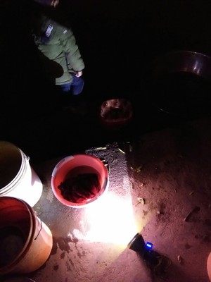 口碑评论神圣之火头灯怎么样，优缺点曝光分析