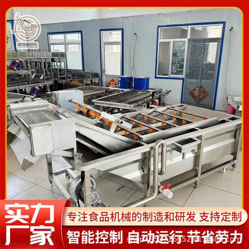多功能连续式酸菜清洗设备 大型芹菜清洗机 商用空心菜气泡清洗机