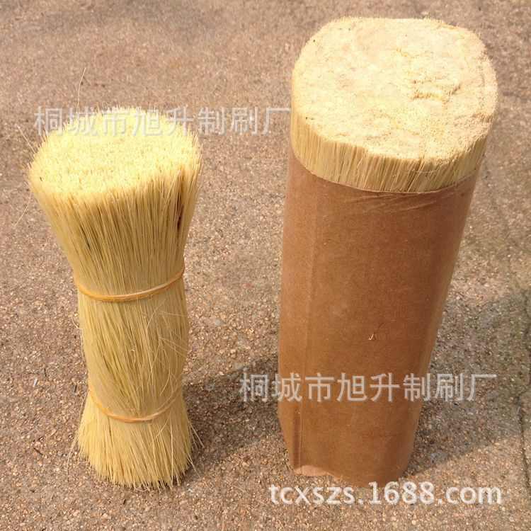 供应剑麻丝植物刷丝坦皮科纤维进口墨西哥白棕pintar facil