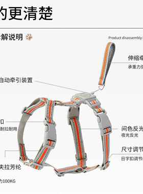 宠伸物一体牵引缩绳胸字背带反光织带工背心狗狗PRJ牵引狗绳大型