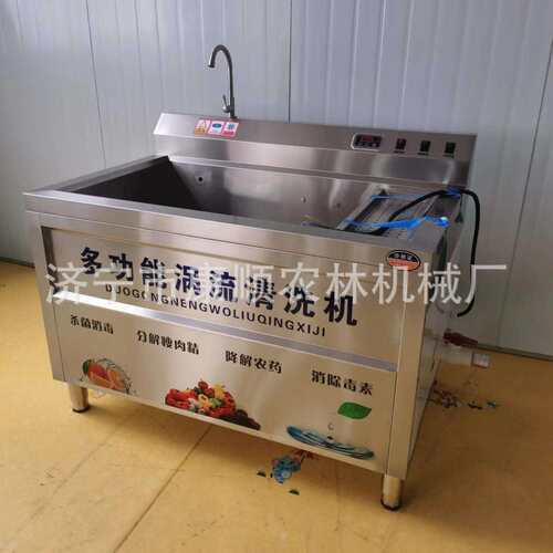 火龙果气泡清洗机 西红柿上海青油菜清洗机 多功能毛辊清洗机