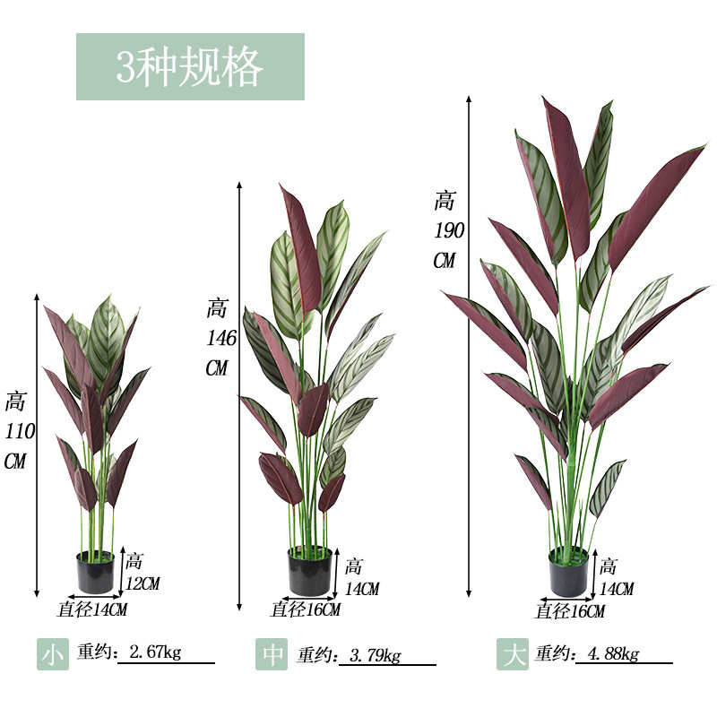 仿生绿植飞羽竹芋盆栽室内大型落地摆件仿真树绿化工程人造假植物