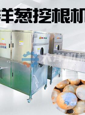 鲜洋葱挖根机不锈钢圆葱挖根设备洋葱切头挖根一体机洋葱加工设备