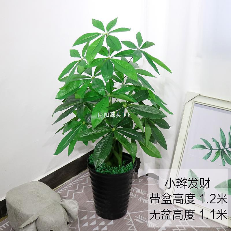 绿地植发THGOLLWS财树摇钱树系绿列客厅装饰色植物落绢花盆料栽塑