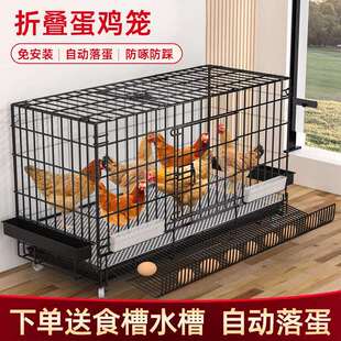 鸡笼子大号养鸡笼子家用室内滚蛋鸡笼自动出蛋母鸡笼鸭笼鹅笼