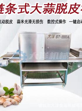 气动链条式大蒜脱皮机干法零损伤型大蒜去皮设备面包蒜去皮机器