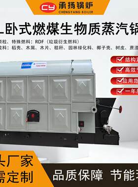 燃煤生物质蒸汽锅炉树皮秸秆生物质颗粒化工造纸酿酒行业工业用