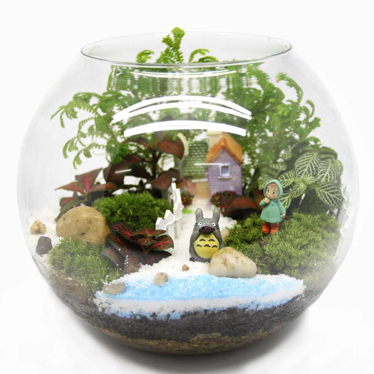 苔藓微景观造景瓶 玻璃盖瓶 情人生日礼品活植物 创意礼品材料包