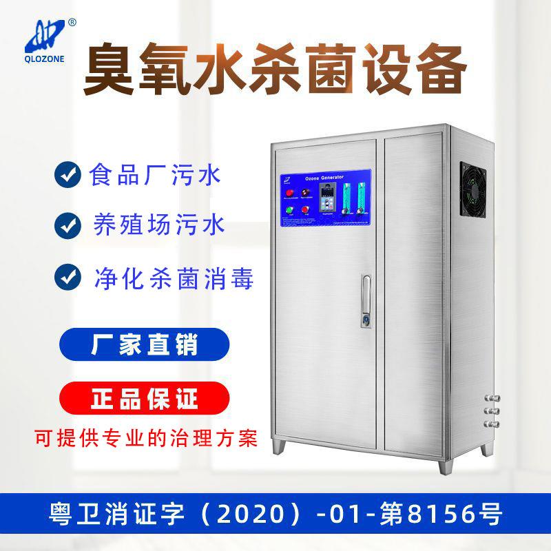 启立300克氧气源臭氧机污水处理纯净水高浓度臭氧发生器厂家工业