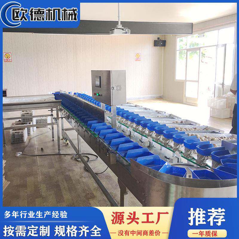 自动分拣机小龙虾重量分选机龙虾分级机分选快速标准便宜价格