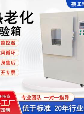 ZB老化试验箱不锈钢橡胶塑料电线电缆高温热老化试验箱换气老化箱