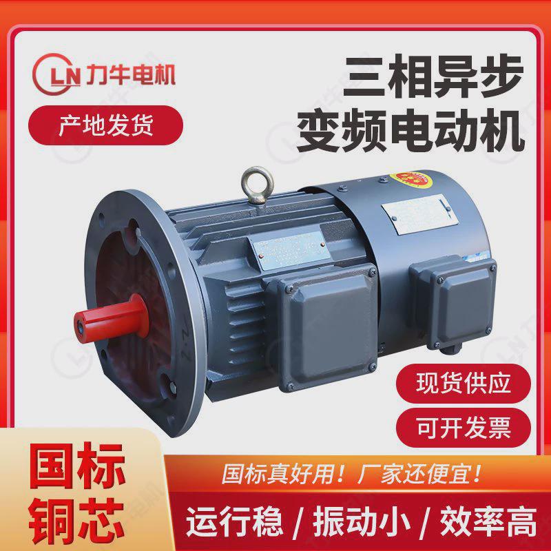 减速机风机水泵YE2变频调速异步电动机三相380V变低减速电机铜芯