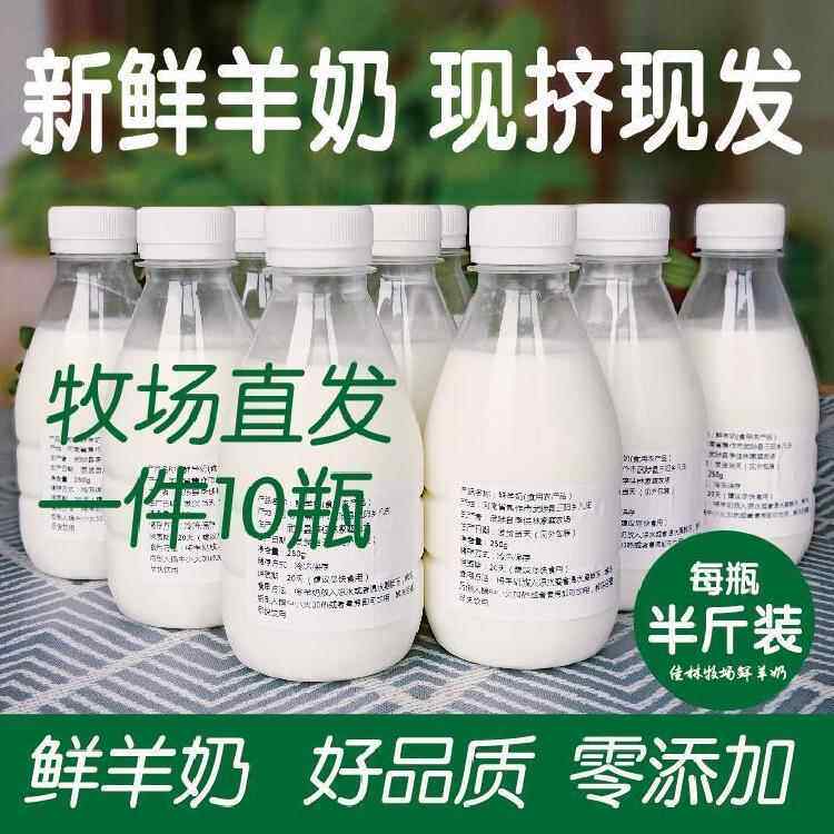 现挤新鲜羊奶零添加牧场直发孕妇儿童老人鲜羊奶现挤纯羊奶