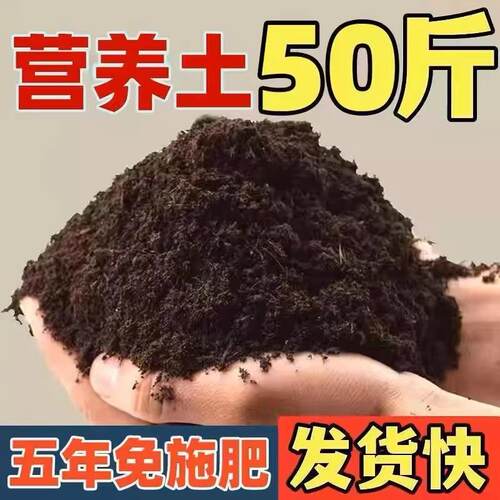 养桂花专用土营养土盆栽土桂花树专用土肥料专用肥土壤泥土种植土