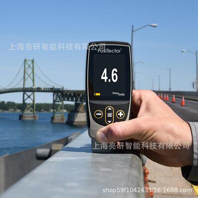 狄夫斯高DeFelsko6000FNTS1涂镀层测厚仪FN两用探头0~6mm