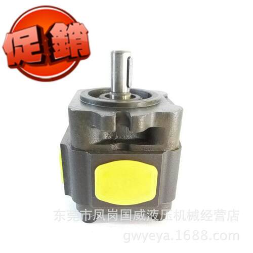 BIG3050BIG3040系列高压液压泵内啮合齿轮泵冲床油泵HESAPP停产