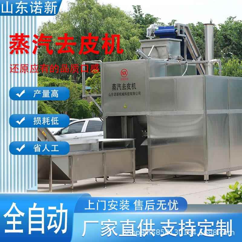 全自动黄桃蒸汽去皮机果蔬块茎类脱皮设备葡萄罐头加工去皮设备
