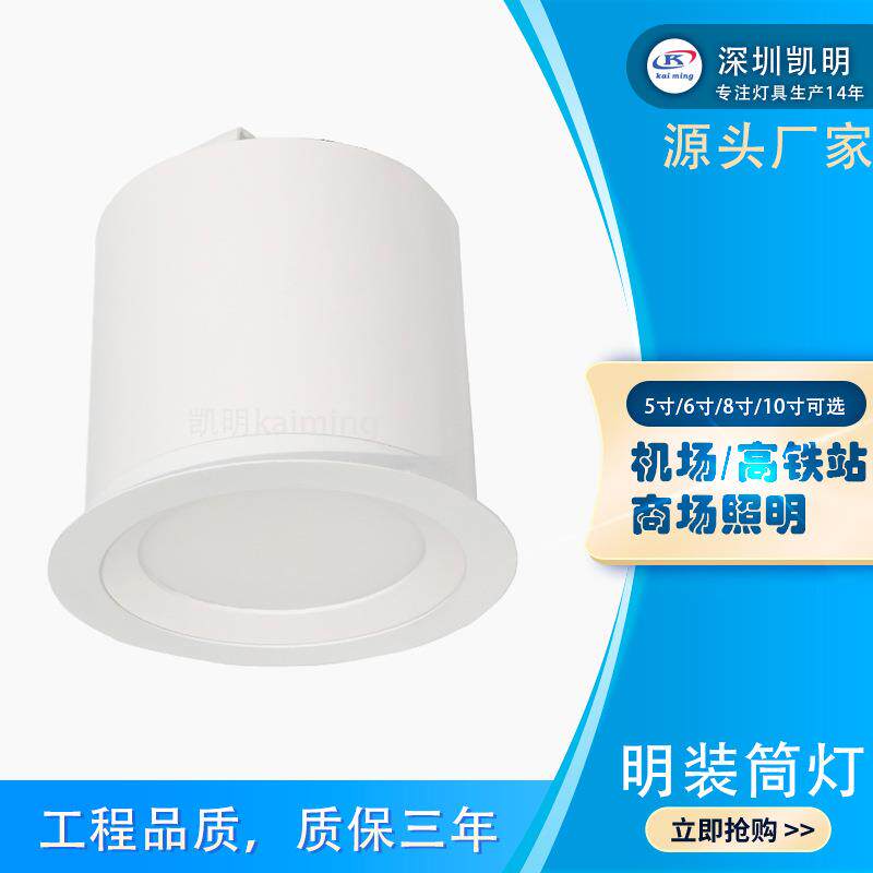 车站灯具地铁站80W明装筒灯 白色8寸免开孔80WLED筒灯