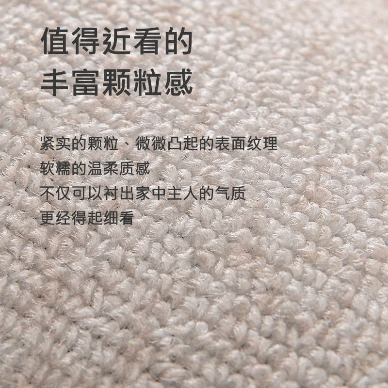 客厅地毯茶几毯卧室2024新款免打理地垫家用免洗可擦沙发高级郑之