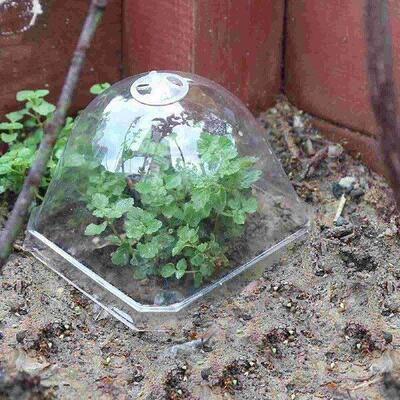 Flower Pot Seedling Cover Plant Nourishment Cloche Plastic
