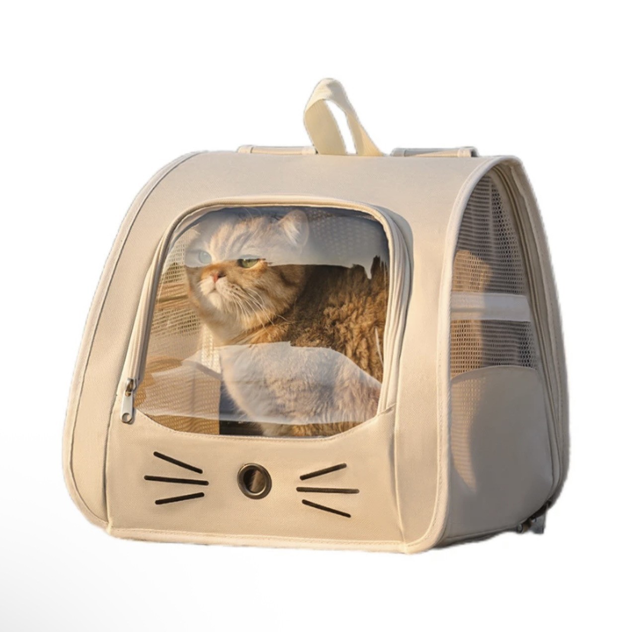 猫咪宠物外出透明折叠应激箱包