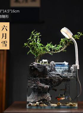 新中式文竹自循环生态小鱼缸家用客厅桌面观赏流水摆件迷你微景观