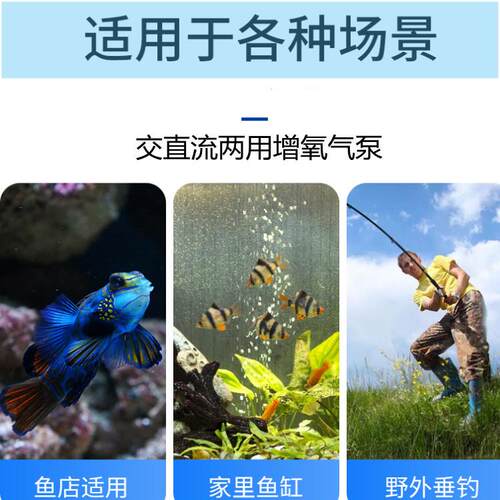 打氧机充机充氧泵鱼氧气泵电两用充打氧泵u缸sb小型增氧FD-601氧