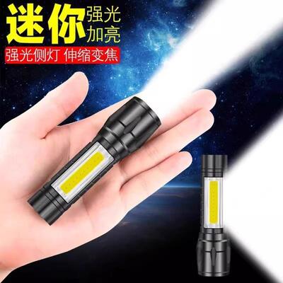 Mini Small Flashlight with High Intensity Light, USB Recharg