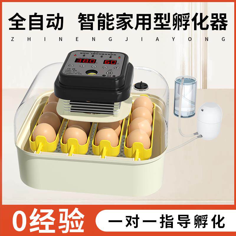 全自动智能孵化机小型家用孵蛋器鹦鹉专用孵化器鸡鸽子鸟蛋孵化箱
