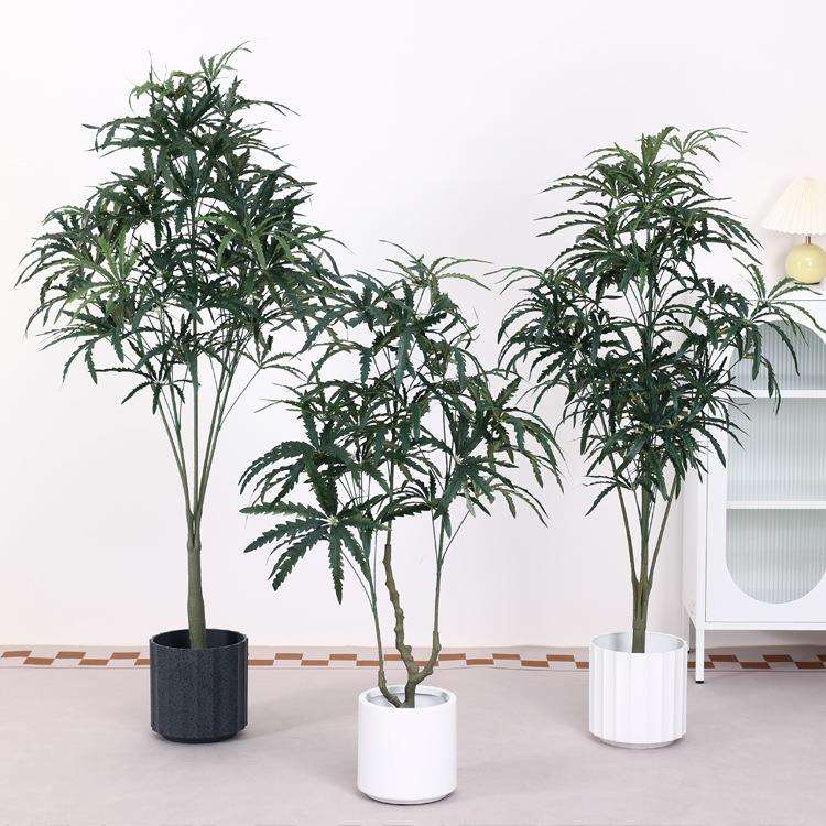 仿真孔雀木北欧风盆栽客厅假植物落地摆件绿植千年木真