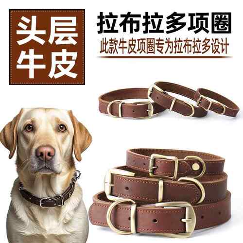 拉布拉多真皮狗项圈脖圈脖套颈圈牵引绳牛皮定制刻字狗牌中大型犬