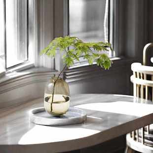 轻奢龟背竹玻璃花瓶摆件水培吊钟雪柳马醉木水养插花客厅落地装饰