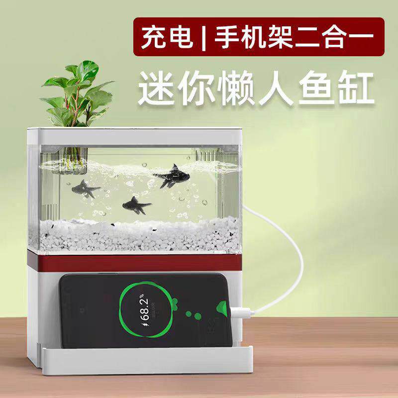 家用鱼缸小型桌面创意造景套餐生态微景观免换水槽鱼缸水族箱
