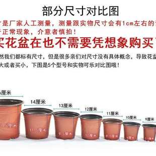 厂家直销加厚双色盆一次性家用塑料育苗盆苗圃种植盆批发生态