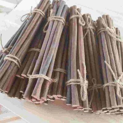 20 PCS Dry Branches Fortune Paulownia Wood Decor Wooden