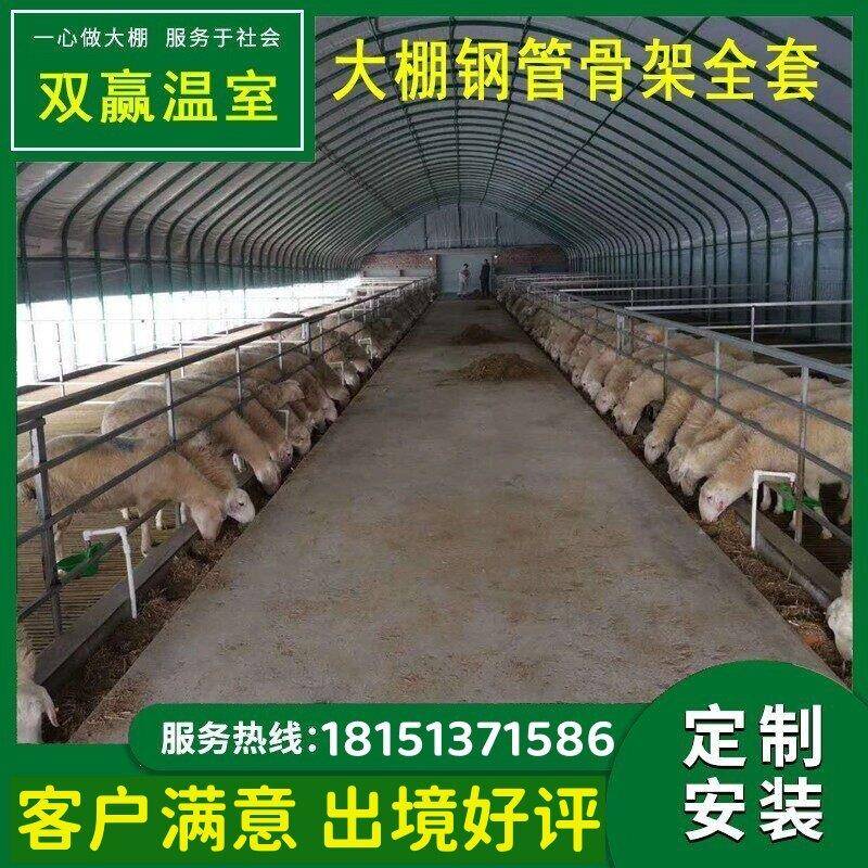养殖大棚全套猪牛羊鸡鸭鹅大棚骨架钢管配件蔬菜种植连体温室大棚