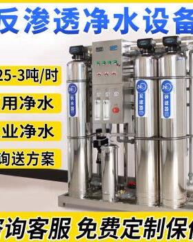 双级反渗透设备工业纯水机桶装水全自动ro净水处工业级净水器