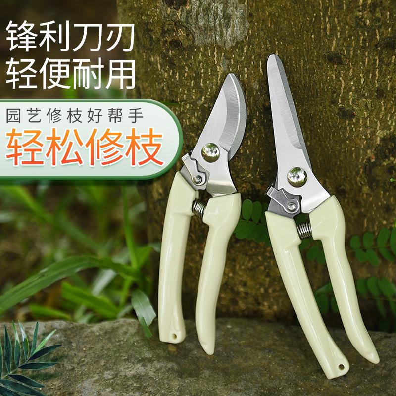 修枝剪刀树枝剪果树剪花枝摘果剪园艺稀果剪刀采摘葡萄剪子采摘剪