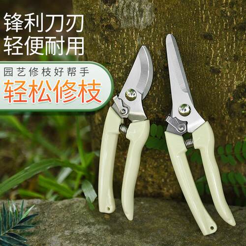 修枝剪刀树枝剪果树剪花枝摘果剪园艺稀果剪刀采摘葡萄剪子采摘剪