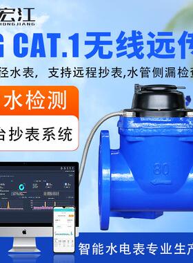 4Gcat.1无线远传水表大口径无阀冷水表智能水表