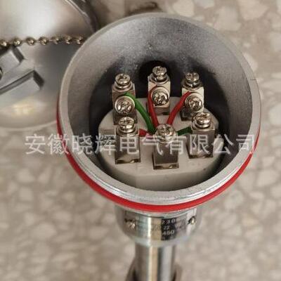 锥度螺纹热电阻WZP-630固定螺纹锥型保护管双支铂热电阻电厂用